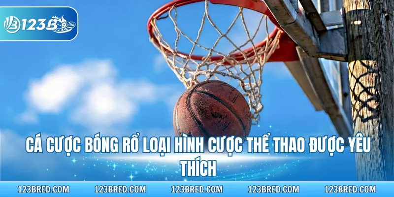 Cá Cược Bóng Rổ - Nắm Vững Quy Luật Và Các Tỷ Lệ Cược 2 Cá cược bóng rổ loại hình cược thể thao được yêu thích
