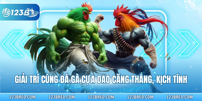 Đá Gà Ws168 – Sảnh Cá Cược Trực Tiếp Kịch Tính Nhất 4 Giải trí cùng đá gà cựa dao căng thẳng, kịch tính