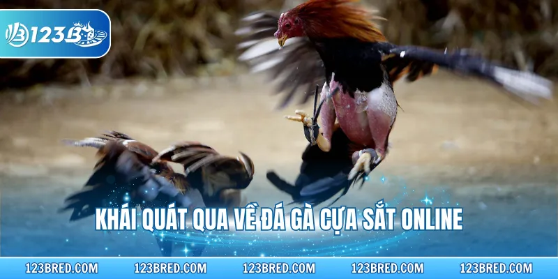 Đá Gà Cựa Sắt – Luật Thi Đấu Và Chiến Thuật Thắng Nhanh 2 Khái quát qua về đá gà cựa sắt online