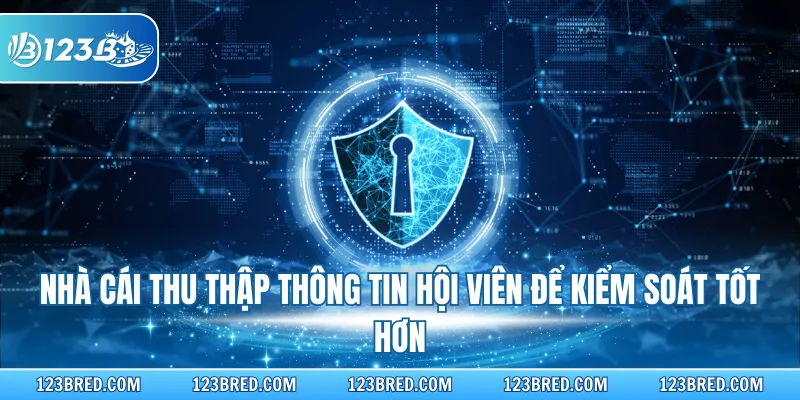 Chính Sách Bảo Mật – Cam Kết An Toàn Dữ Liệu Hội Viên 123B 2 Nhà cái thu thập thông tin hội viên để kiểm soát tốt hơn