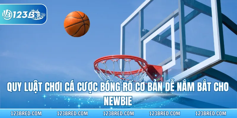 Cá Cược Bóng Rổ - Nắm Vững Quy Luật Và Các Tỷ Lệ Cược 3 Quy luật chơi cá cược bóng rổ cơ bản dễ nắm bắt cho Newbie