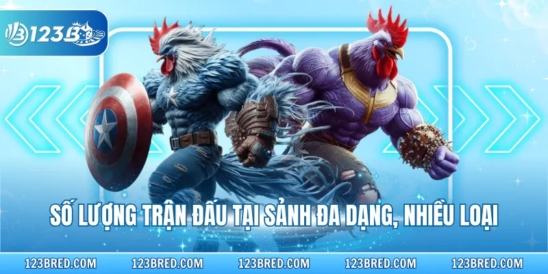 Đá Gà Ws168 – Sảnh Cá Cược Trực Tiếp Kịch Tính Nhất 3 Số lượng trận đấu tại sảnh đa dạng, nhiều loại