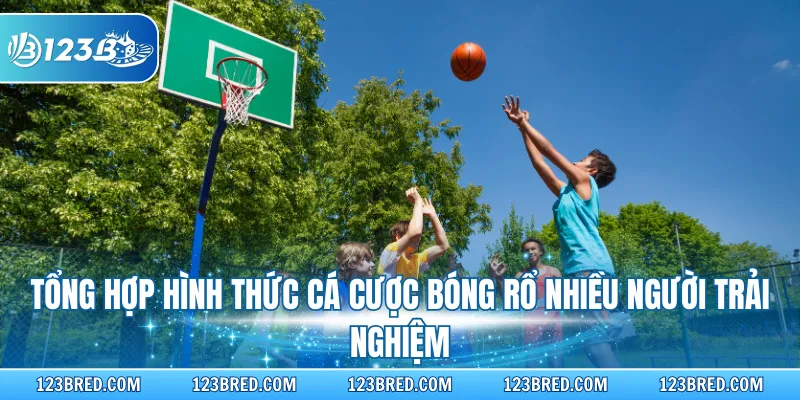 Cá Cược Bóng Rổ - Nắm Vững Quy Luật Và Các Tỷ Lệ Cược 4 Tổng hợp hình thức cá cược bóng rổ nhiều người trải nghiệm