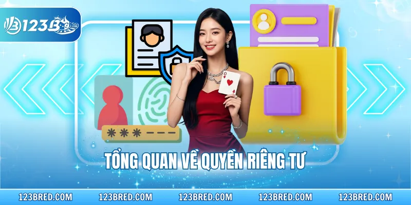 Quyền Riêng Tư 123B - Chính Sách Bảo Vệ Thành Viên 1 Tổng quan về quyền riêng tư